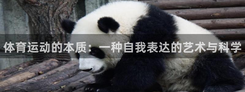 米兰体育官网下载平台注册:体育运动的本质:一种自我表达的艺术