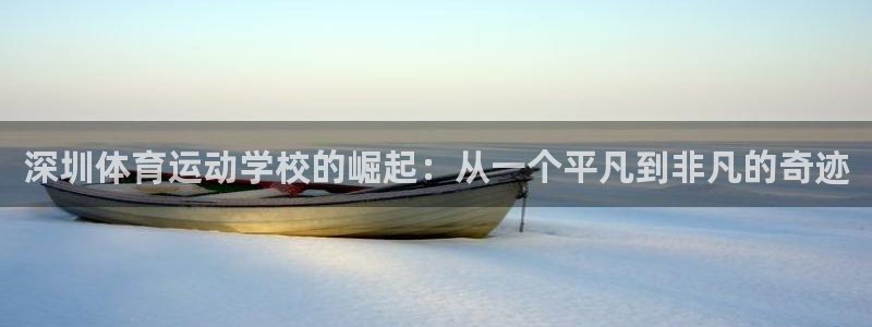 米兰体育官方正版app新能源:深圳体育运动学校的崛起:从一个