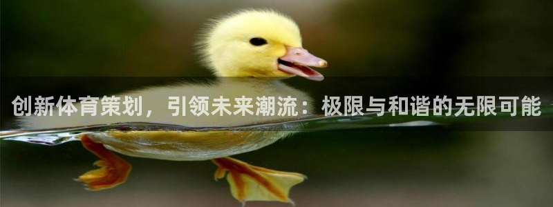 德国米兰体育官方正版app集团:创新体育策划,引领未来潮流:
