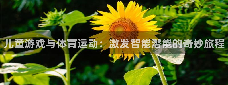 米兰体育官网下载招商电话地址是多少:儿童游戏与体育运动:激发