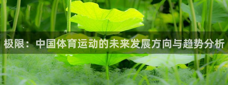 米兰体育官方正版app娱乐下载:极限:中国体育运动的未来发展