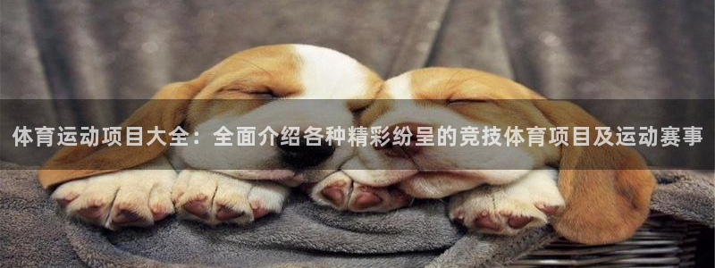 米兰体育官网下载注册:体育运动项目大全:全面介绍各种精彩纷呈