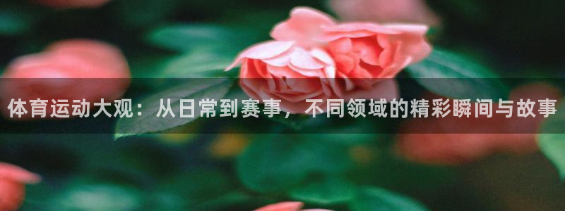 米兰体育官网下载联系电话:体育运动大观:从日常到赛事,不同领