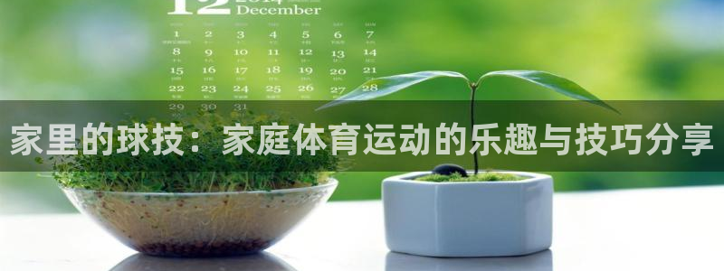 米兰体育官方正版app代理:家里的球技:家庭体育运动的乐趣与