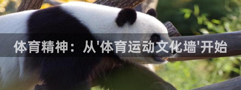 海南米兰体育官网下载:体育精神:从\'体育运动文化墙\'开始